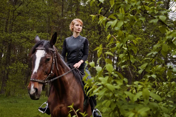 Beautiful Girl Horse — Stock Photo, Image