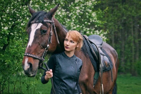 Beautiful Girl Horse — Stock Photo, Image