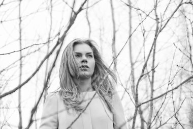 Güzel bir kızın portresi.