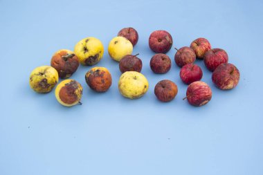 Sarı ve kırmızı elmalar mavi arka planda bozulur..