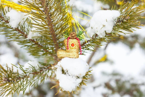 Πρωτοχρονιάτικο παιχνίδι με τη μορφή μιας χρυσοκάστανης μπότας κρέμεται σε ένα κλαδί πεύκου στο δρόμο. Μπορείς να δεις το χιόνι στα κλαδιά — Φωτογραφία Αρχείου
