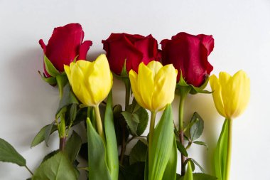 Beyaz arka planda Burgundy gülleri ve üç sarı lale. tatil