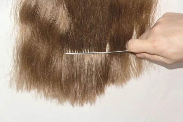 Męskie Nożyczki Przyciąć Długie Brązowe Włosy Dziewczyny Lub Kobiety — Zdjęcie stockowe
