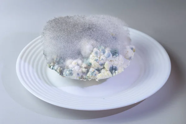 Different kinds of mold on a plate of cottage cheese. Spoiled product — Stock Photo, Image