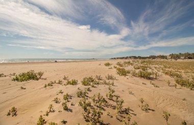 Akdeniz plajı. Vilanova i la Geltru, Garraf bölgesi, Barselona, Katalonya, İspanya. 