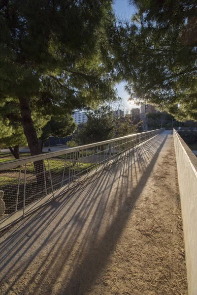 Can Buxeres Park Nebo Také Volal Can Buixeres Městě Hospitalet — Stock fotografie