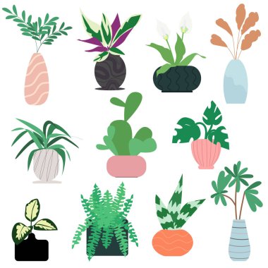   Beyaz arka planda izole vazolar ve saksılarda çeşitli çiçek ve bitkiler. Doğal renklerde vektör iç dekorasyon elementleri kümesi.