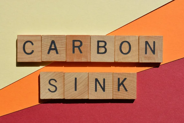 Carbon Sink Anything Absorbs More Carbon Atmosphere Releases Words Wooden — Stock Photo, Image