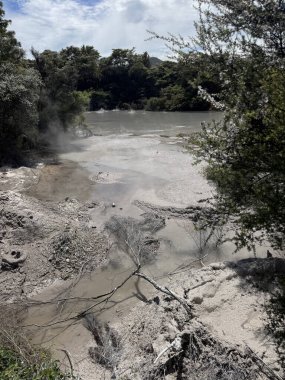 Jeotermal aktivite, Waiotapu Termal Harikalar Diyarı 'nda kaynayan çamur havuzlu manzara, Rotorua, Kuzey Adası, Yeni Zelanda