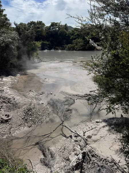 Jeotermal aktivite, Waiotapu Termal Harikalar Diyarı 'nda kaynayan çamur havuzlu manzara, Rotorua, Kuzey Adası, Yeni Zelanda