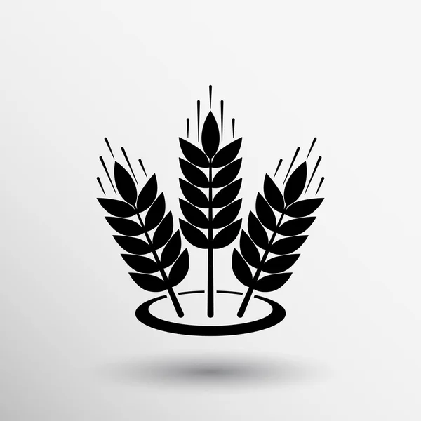 Καρύδια icon σιταριού σιτηρών βιολογικό φυτό sheaf — Διανυσματικό Αρχείο