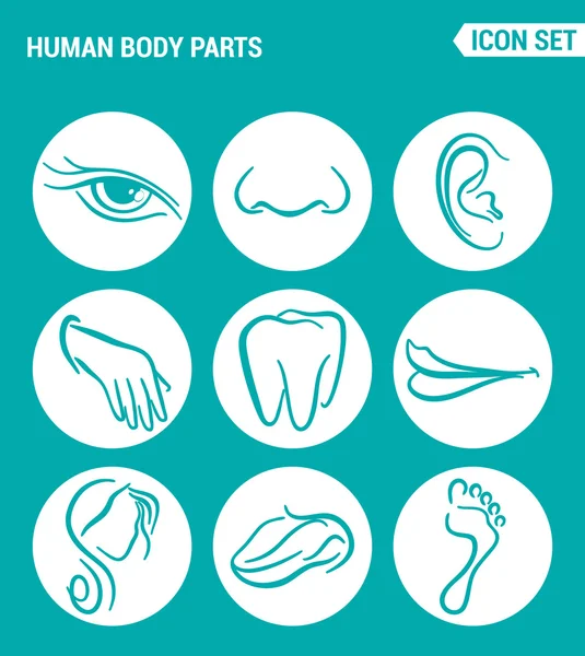 Εικονίδια ιστού με διανυσματικά σετ. Ανθρώπινα μέρη, μύτη, αυτί, δόντια, στόμα, κεφάλι, γλώσσα, πόδι. Σχεδίαση σημείων, συμβόλων σε τιρκουάζ φόντο — Διανυσματικό Αρχείο