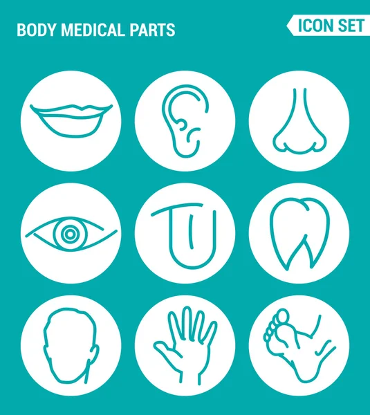 Webb ikoner för vektor uppsättning. Kropps medicinska delar, läppar, öron, näsborrar, ögon, tunga, tänder, huvud, hand, ben. Design av skyltar, symboler på turkos bakgrund — Stock vektor