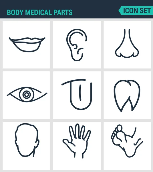 Conjunto de iconos vectoriales modernos. Partes médicas del cuerpo labios, orejas, fosas nasales, ojos, lengua, dientes, cabeza, mano, piernas. Signos negros sobre un fondo blanco. Diseño de símbolos y siluetas aisladas — Vector de stock