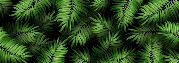 Hintergrund Für Web Banner Botanisches Exotisches Sommermuster Mit Grünen Tropischen — Stockvektor