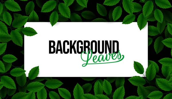 緑の新鮮な葉を持つ自然背景 イベント招待テンプレート 新鮮な緑の葉を持つ自然現実的な枝 カラフルな暗い背景 トレンディリピートファッション Print — ストックベクタ