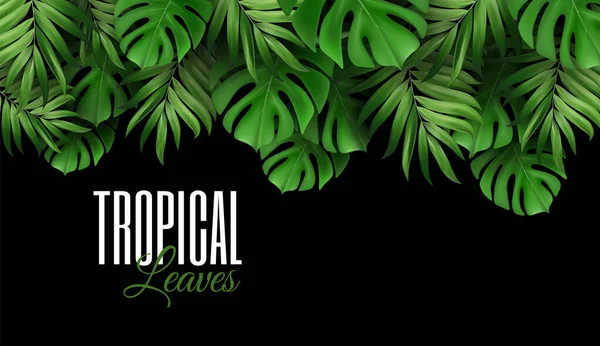 Sfondo Foglie Tropicali Esotiche Foresta Pluviale Palme Verde Brillante Monstera — Vettoriale Stock