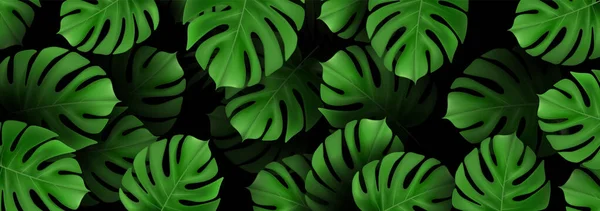 Padrão Tropical Com Folhas Palmeira Monstera Verde Fundo Escuro Design — Vetor de Stock