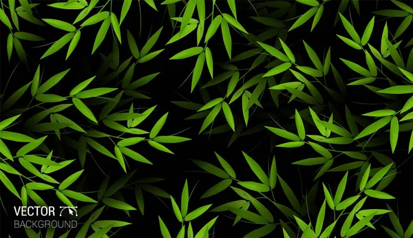 Hastes Bambu Verde Fresco Ramos Folhas Folha Padrão Realista Natural — Vetor de Stock