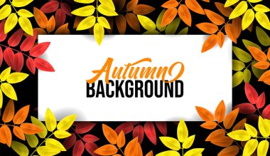 Dökülen yapraklar, turuncu, sarı, kırmızı yapraklar. Sonbahar dönemi posteri için sınır. Ormanda sonbahar yapraklı pankart