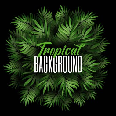 Doğal Gerçekçi Yeşil Palmiye Yaprağı Tropikal Orman Tasarımı sosyal medya ve moda reklamları için bir şablon. Tropikal bitkilerin yuvarlak konsepti. Vektör illüstrasyonu
