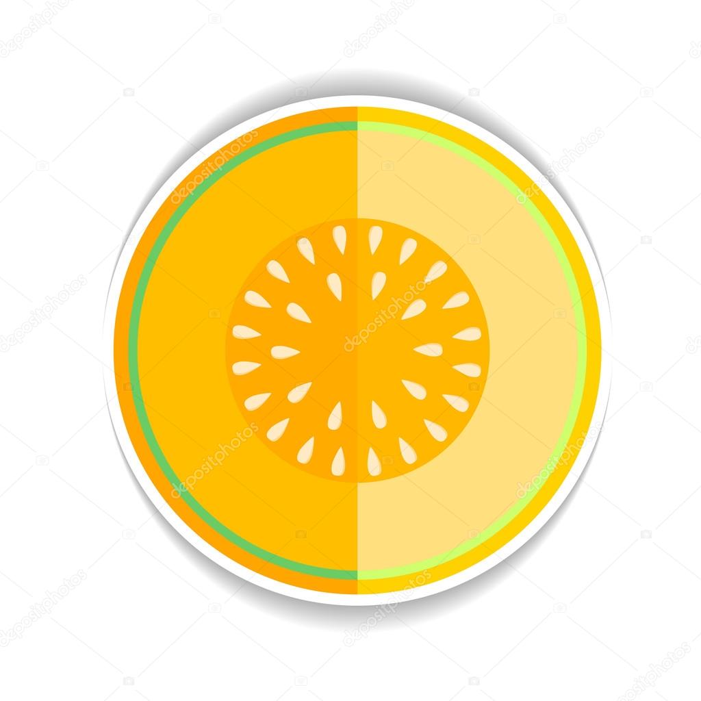 Vector icon Ripe yellow melon and a piece just on a white backgr