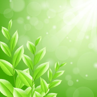 vektör çizimi sbackground yeşil çay yaprakları