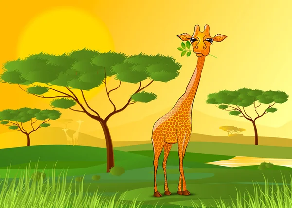 Girafa comendo folhas na África ao pôr do sol — Vetor de Stock