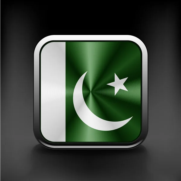 Pakistan national flag national travel icon country symbol  button — Stock Vector
