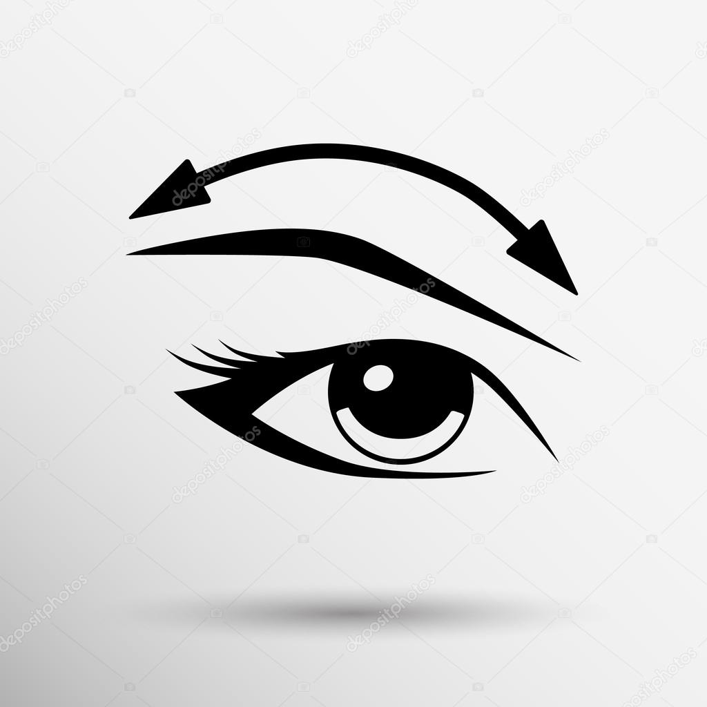 Eyelashes and eyebrows vector eyelash eye vector icon makeup isolated