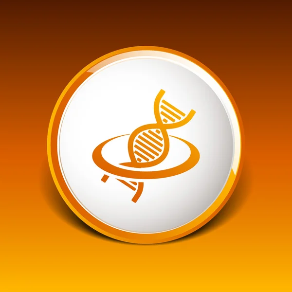 Vettore DNA icona filamento di vita simbolo curva grafica genetica — Vettoriale Stock