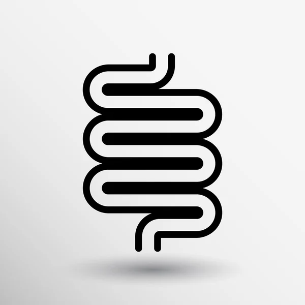 Diseño moderno plano con iconos de sombra intestino grueso — Vector de stock