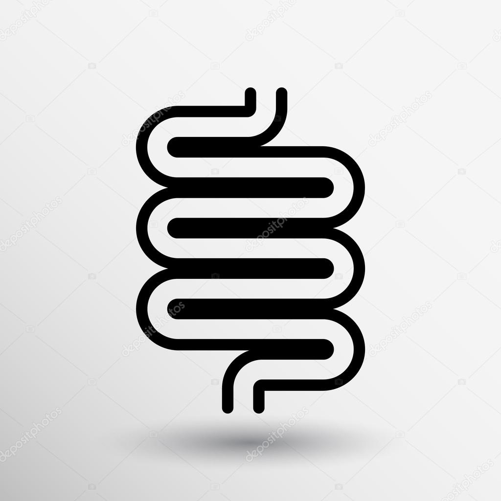 Flat modern design with shadow icons large intestine