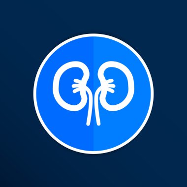 böbrek insan iki damar tıbbi beyaz izole simge 
