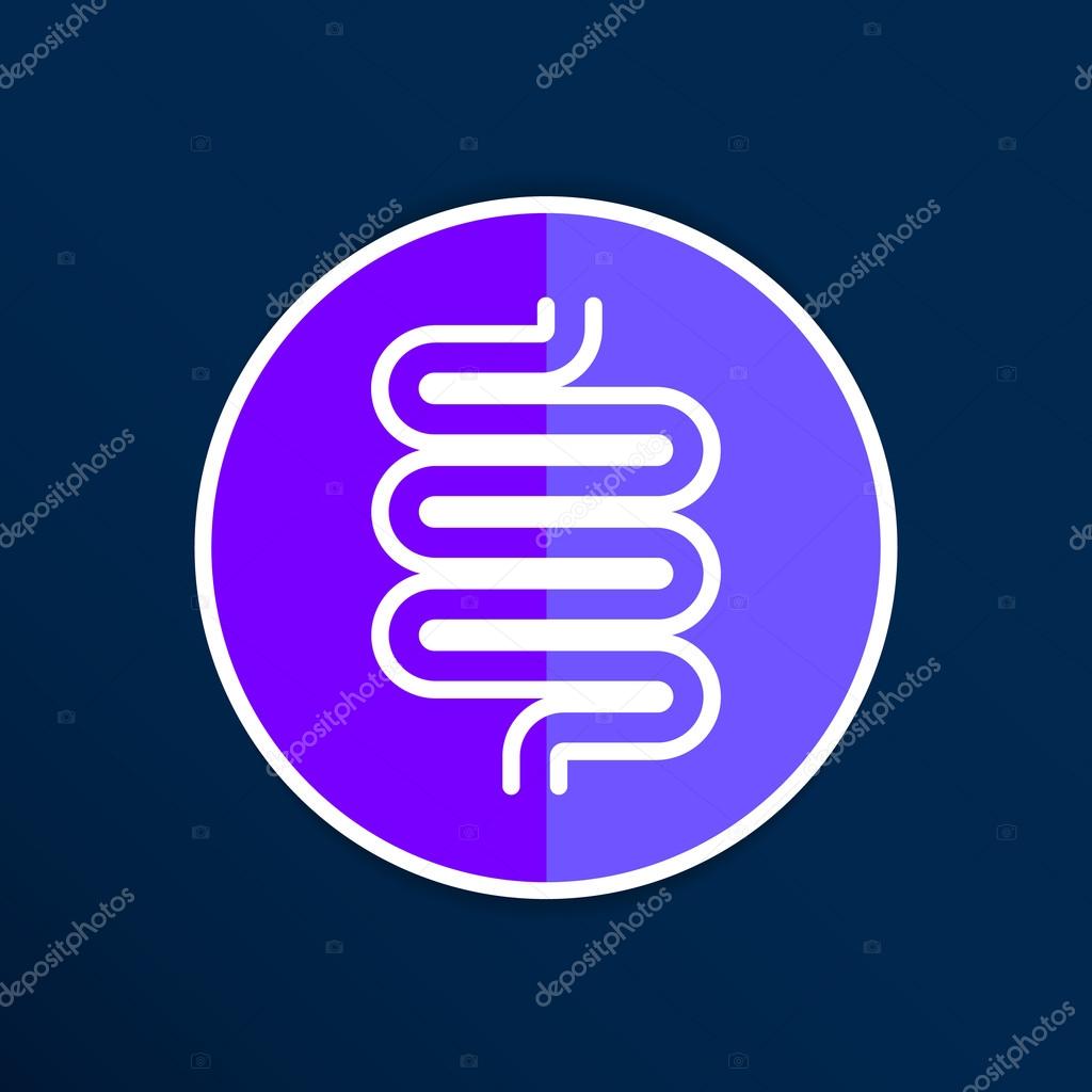 Flat modern design with shadow icons large intestine.