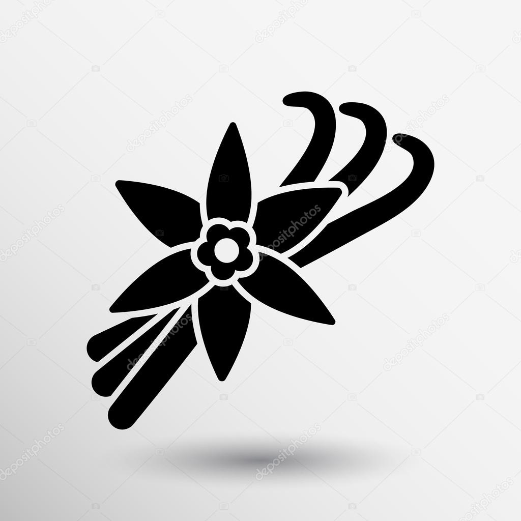 Vanilla flower and vanilla pods Vector Logo.