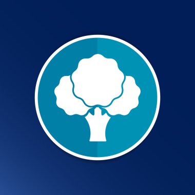 Beyaz bir arka plan üzerinde izole brokoli Özeti