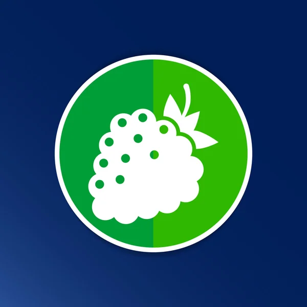 Plantilla de logotipo de vector Raspberry. Concepto de diseño abstracto — Archivo Imágenes Vectoriales