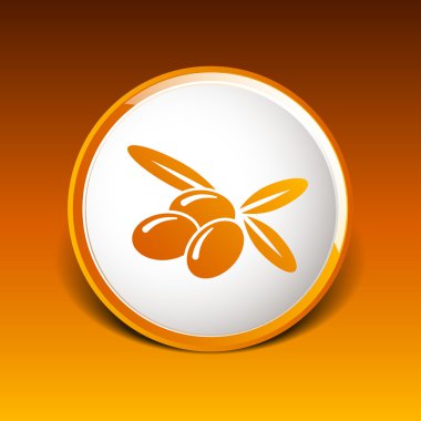 Zeytin Logo tasarım vektör şablon simgesi simgesi