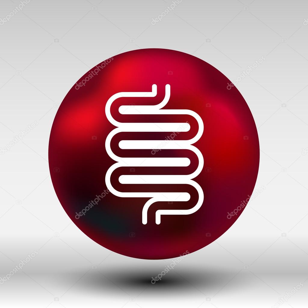 Flat modern design with shadow icons large intestine.