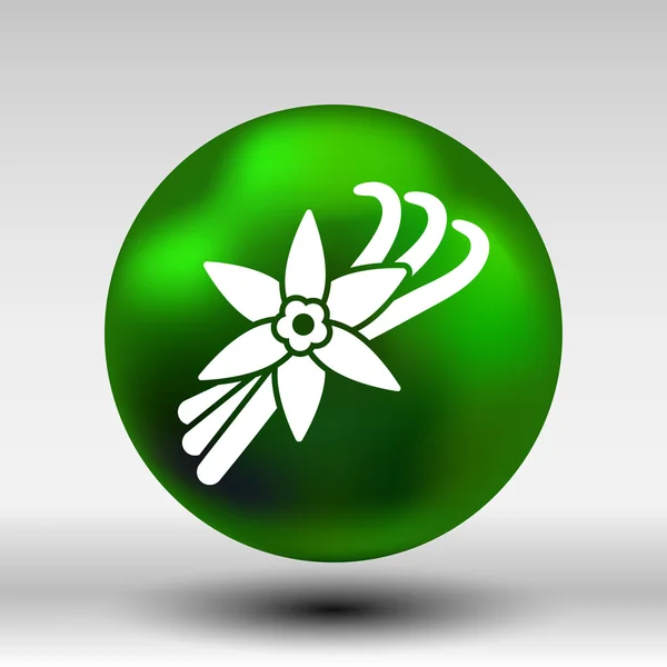 Květina vanilka a Vanilkové lusky vektorové Logo — Stockový vektor