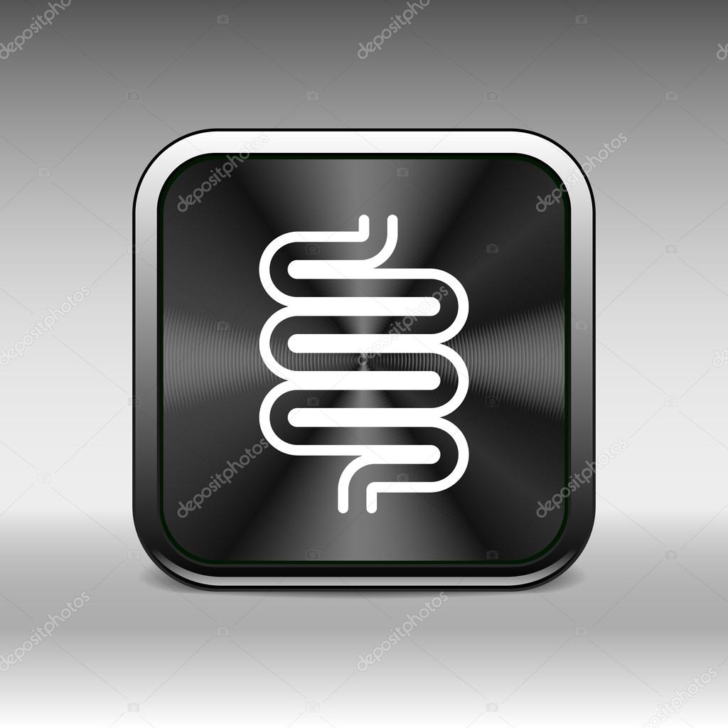 Flat modern design with shadow icons large intestine.
