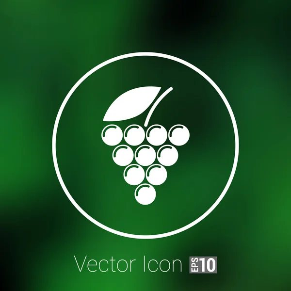 Etiqueta, logo diseño bodega vino uva premium — Vector de stock