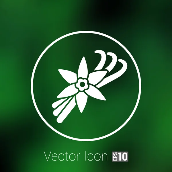 Flor de vainilla y vainas de vainilla vector logo — Vector de stock