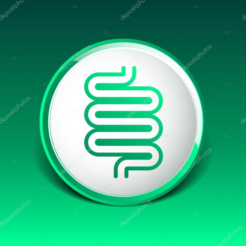 Flat modern design with shadow icons large intestine.