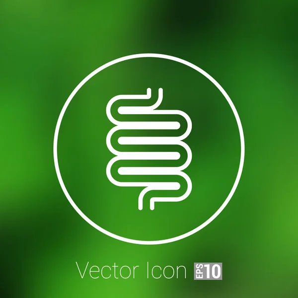 Diseño moderno plano con iconos de sombra intestino grueso — Vector de stock