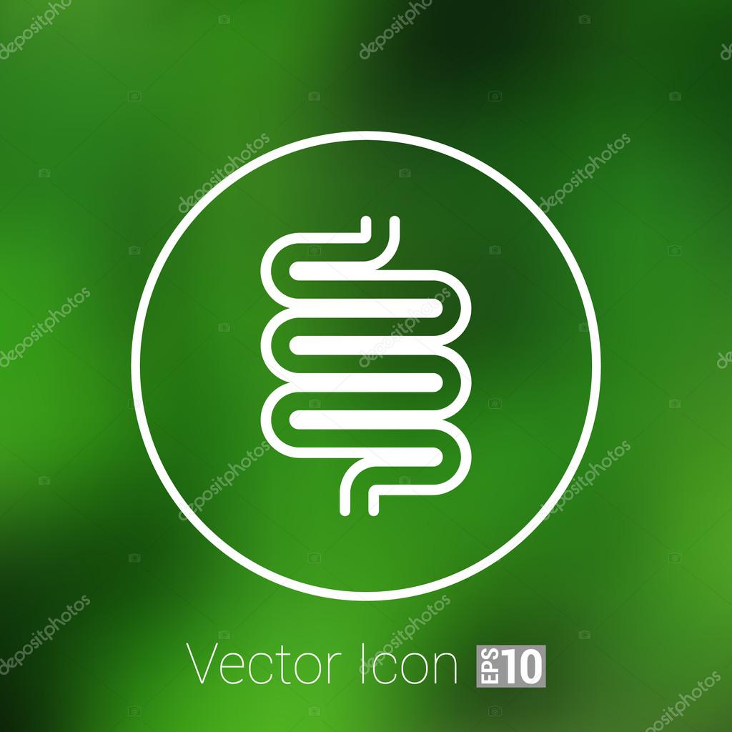 Flat modern design with shadow icons large intestine.