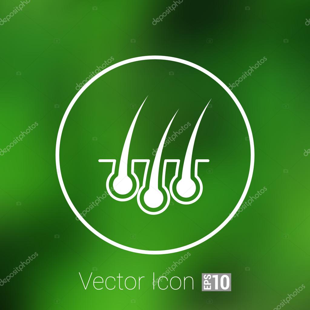 Hair icon isolated human removal grow medical bulb.