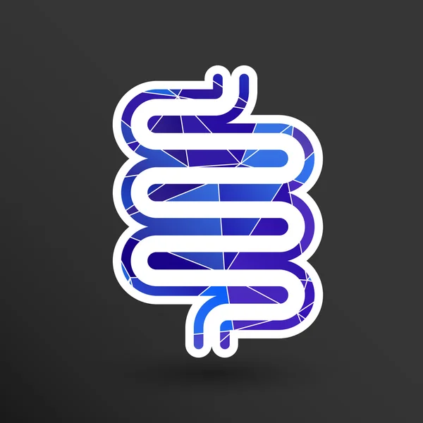 Diseño moderno plano con iconos de sombra intestino grueso — Vector de stock