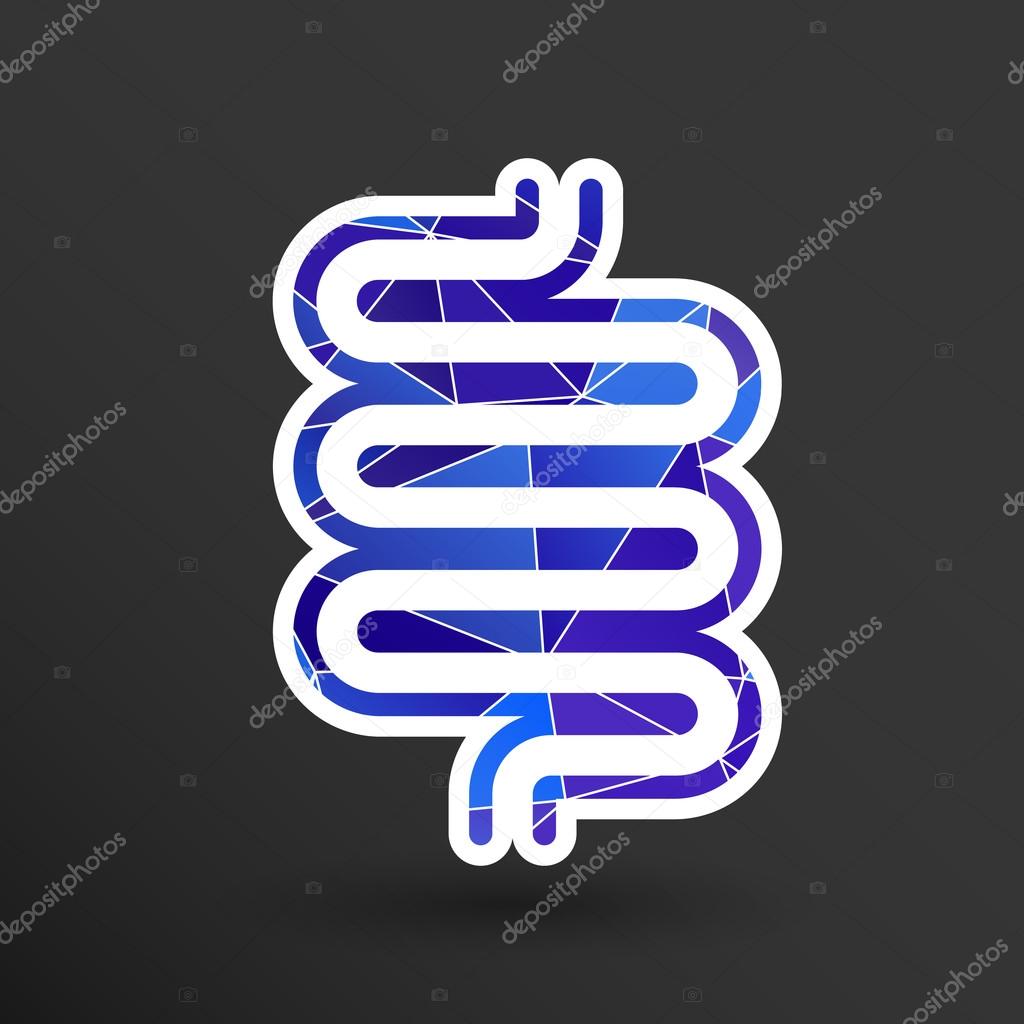 Flat modern design with shadow icons large intestine.